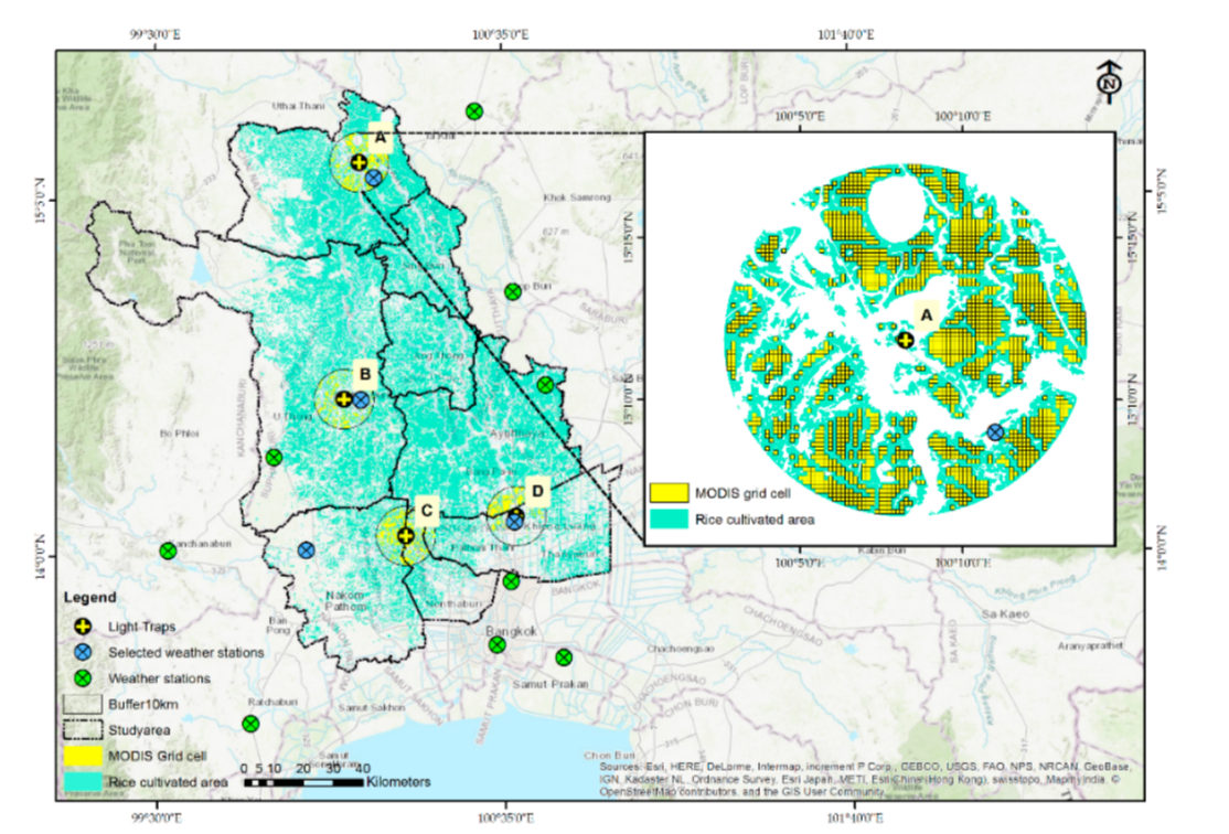 Predicting Rice Pest Population Occurrence with Satellite-Derived Crop Phenology, Ground Meteorological Observation, and Machine Learning: A Case Study for the Central Plain of Thailand